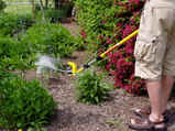 Powder dusting a garden without stooping or getting to close to the insecticidle dust.